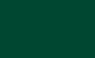 Фотографія - Фон паперовий BD 137 Jade
