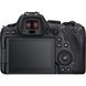 Фотография - Canon EOS R6 Mark II + MT ADP EF-EOS R