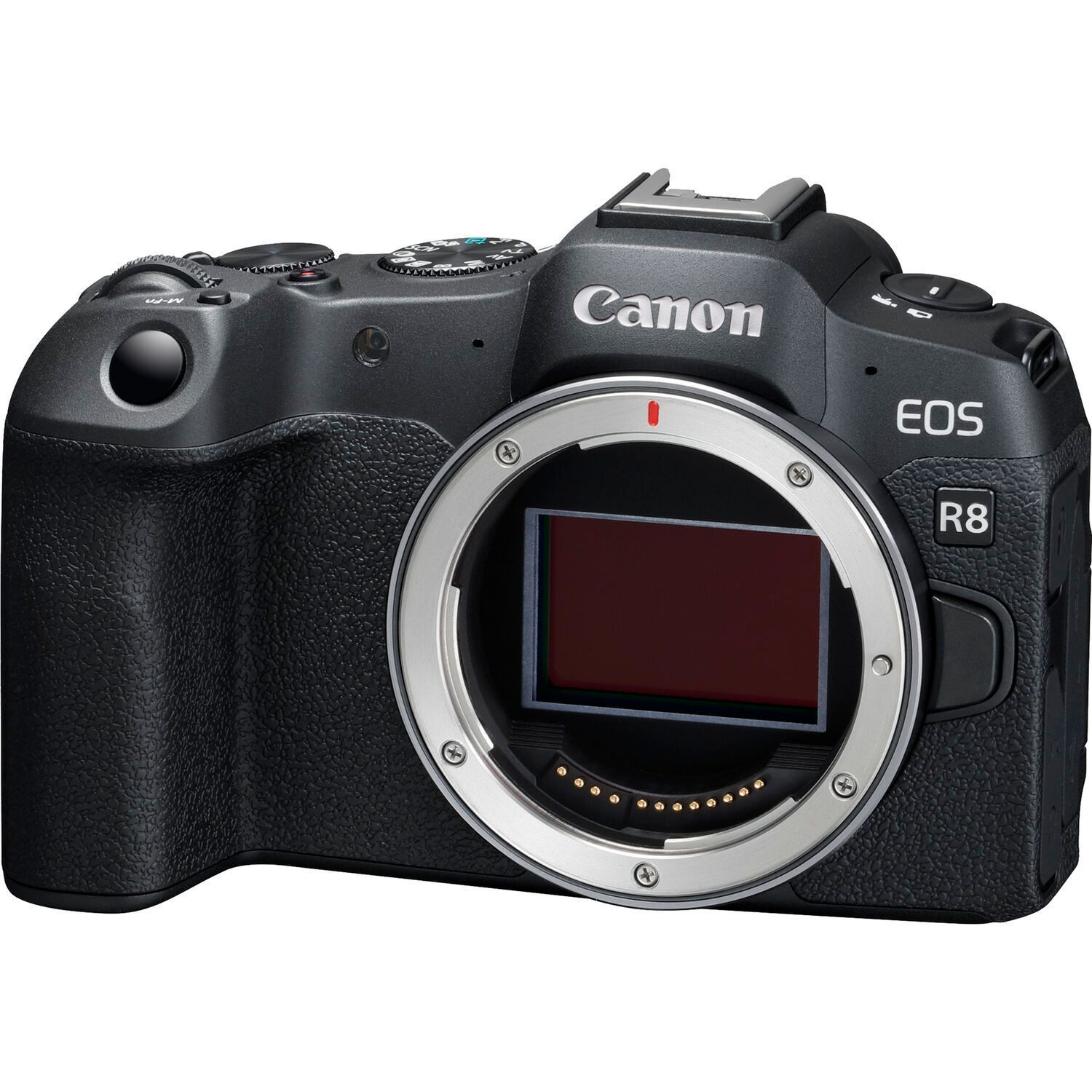 Canon キヤノン　eos r8 canon-eos-r8-body-