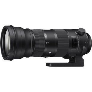 Фотография - Sigma 150-600mm f/5-6.3 DG OS HSM Sports (Nikon F)