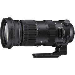 Фотография - Sigma 60-600mm f/4.5-6.3 DG OS HSM Sports (Canon EF)