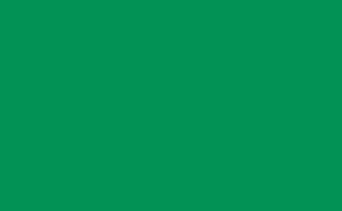 Фотографія - Фон паперовий BD 162 Foto Green