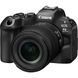 Фотографія - Canon EOS R6 Mark III kit (24-105mm) IS STM