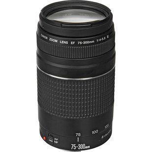 Фотография - Canon EF 75-300mm f/4.0-5.6 III