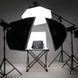 Фотография - Набор студийного света Godox SK300II-E