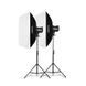 Фотография - Набор студийного света Godox SK300II-E
