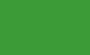Фотография - Фон бумажный BD 132 Veri Green