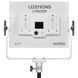 Фотография - Постоянный свет Godox Litemons LP600R K2