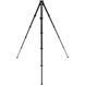 Фотография - Peak Design Travel Tripod Carbon Fiber (TT-CB-5-150-CF-1)