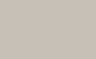 Фотографія - Фон паперовий BD 153 Photographer's Gray