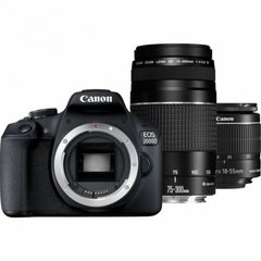 Фотография - Canon EOS 2000D Kit (18-55mm DC III + 75-300mm)