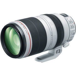 Фотография - Canon EF 100-400mm f/4.5-5.6L IS II USM